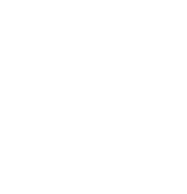 Professional Services icon